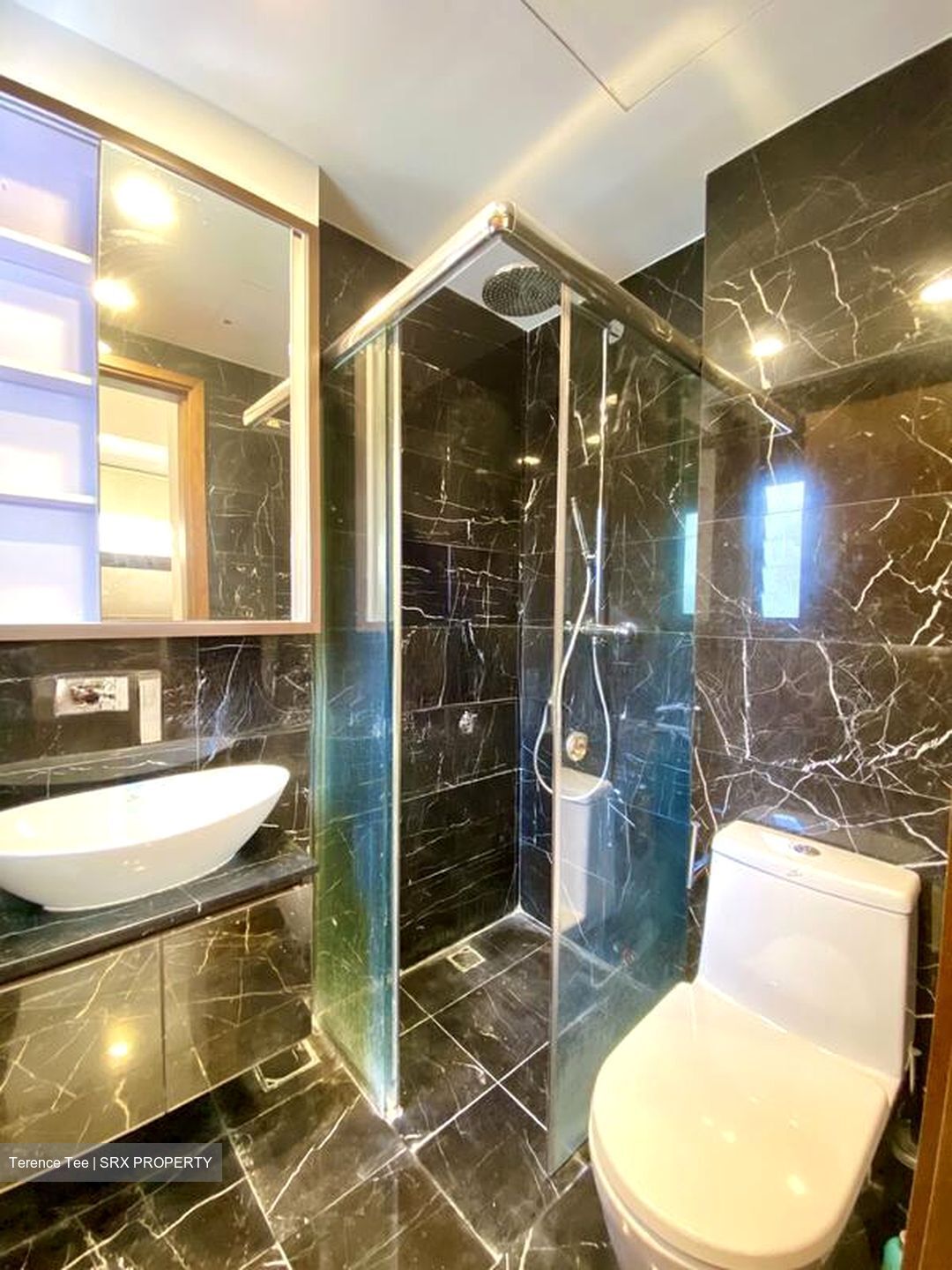 Devonshire 12 (D9), Apartment #503152281